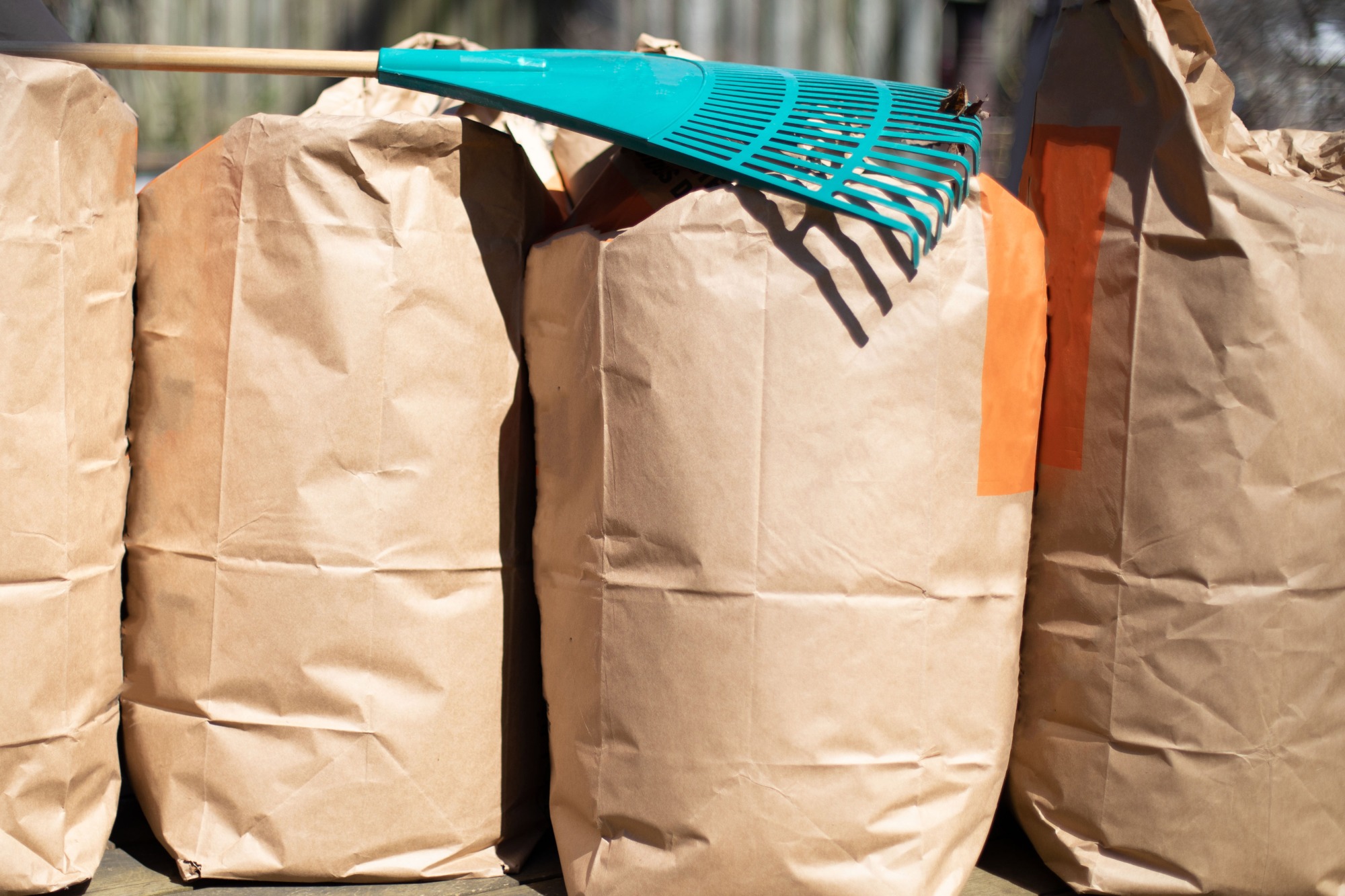 FREE Paper Yard Material Bags For Pickup